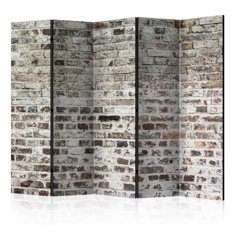 Room Divider Walls of Time II (5-piece) - light pattern with old brick texture