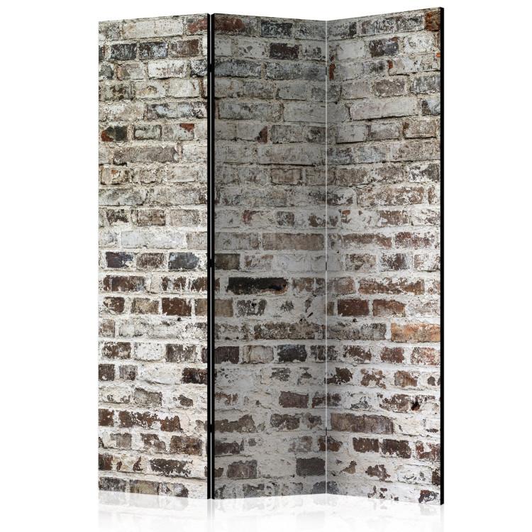 Room Divider Walls of Time (3-piece) - light pattern with weathered brick texture