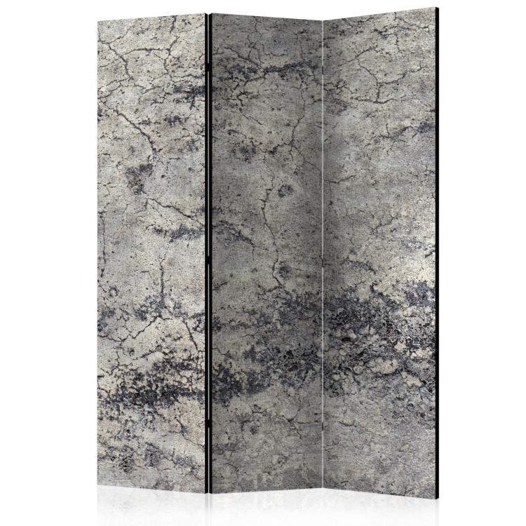 Room Divider Grey Lady (3-piece) - urban pattern with stone and concrete texture