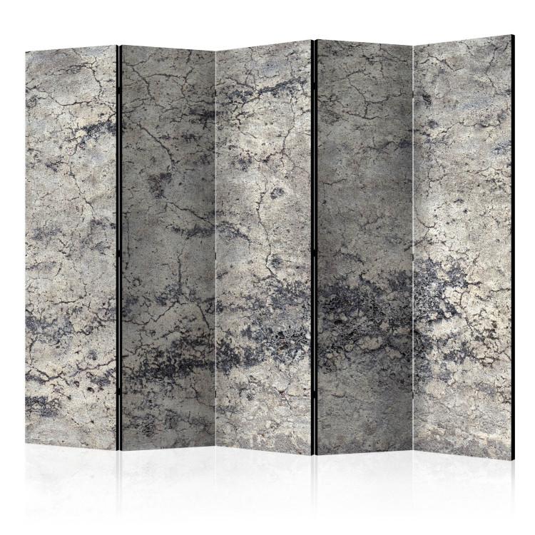 Room Divider Grey Lady II (5-piece) - pattern in grays with concrete structure
