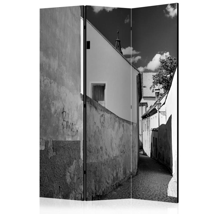 Room Divider Narrow Alley (3-piece) - black and white city architecture landscape