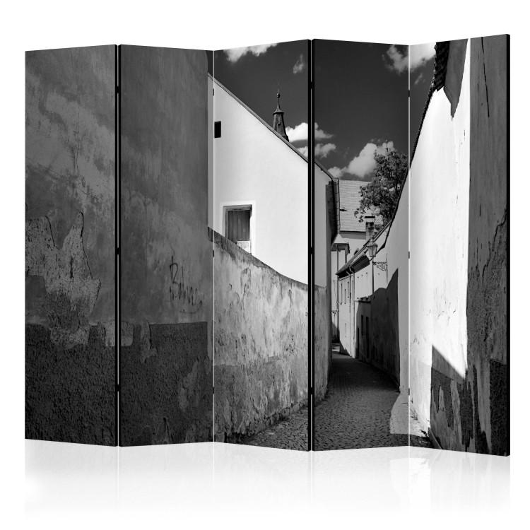 Room Divider Narrow Alley II (5-piece) - black and white frame with architecture