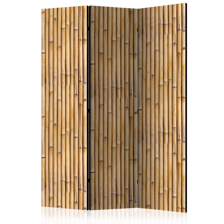Room Divider Amazonian Wall (3-piece) - brown pattern with a botanical motif