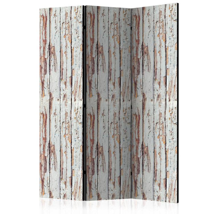 Room Divider Forest Inspired (3-piece) - decorative background in weathered wood