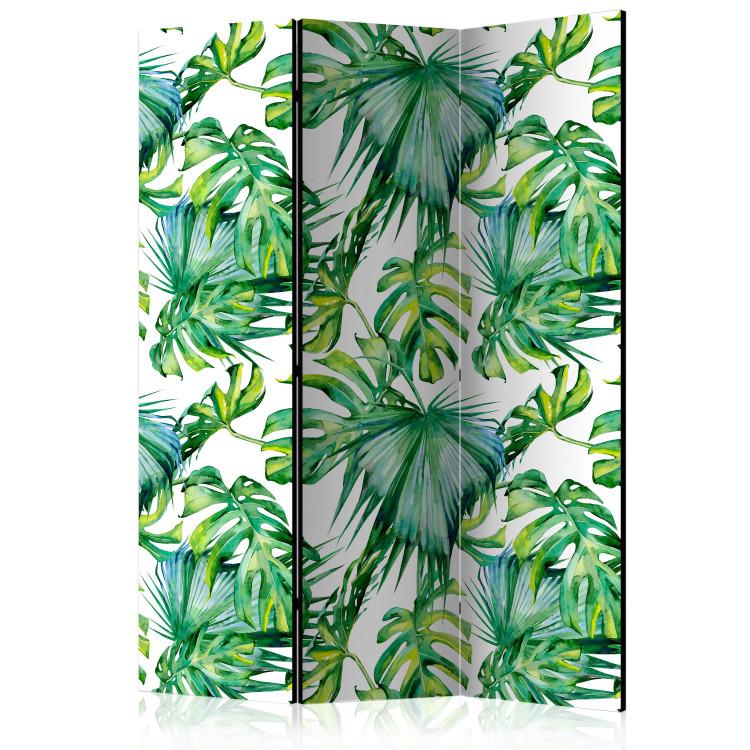 Room Divider Jungle Leaves (3-piece) - pattern of tropical plants on a light background