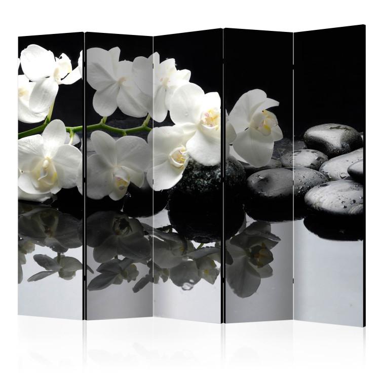 Room Divider Stones and Orchid II (5-piece) - white flowers on a black background