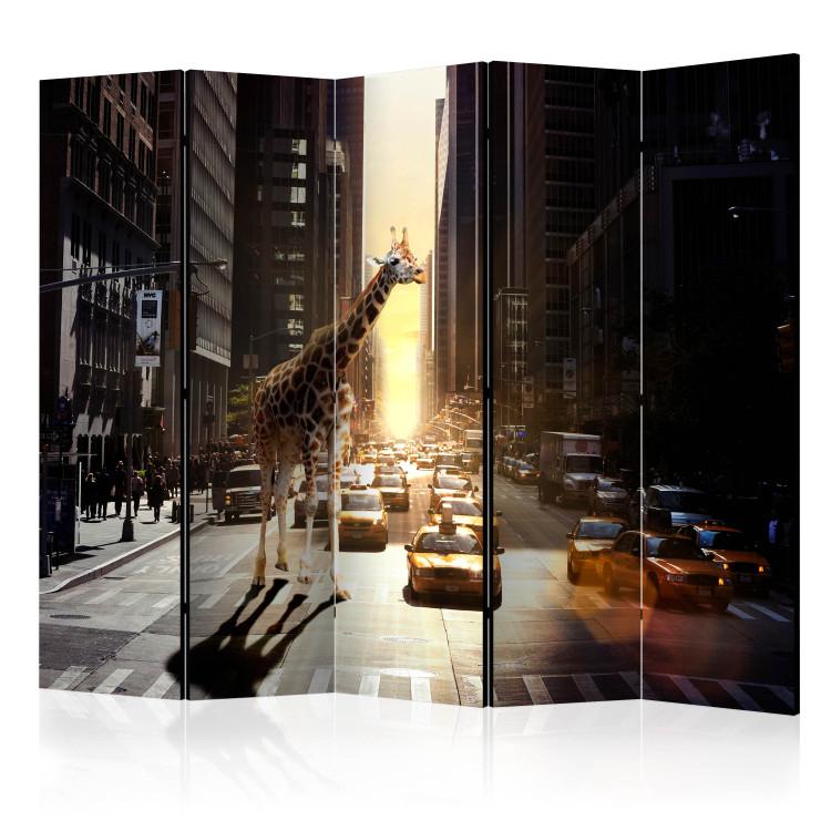Room Divider Giraffe in the Big City II (5-piece) - wild animal and skyscrapers