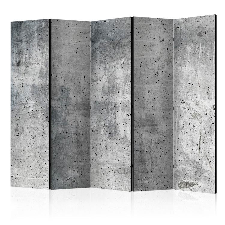 Room Divider Fresh Concrete II (5-piece) - industrial background in shades of gray