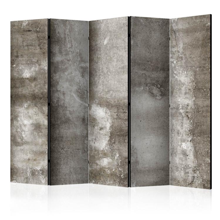 Room Divider Cold Concrete II (5-piece) - industrial background in shades of gray