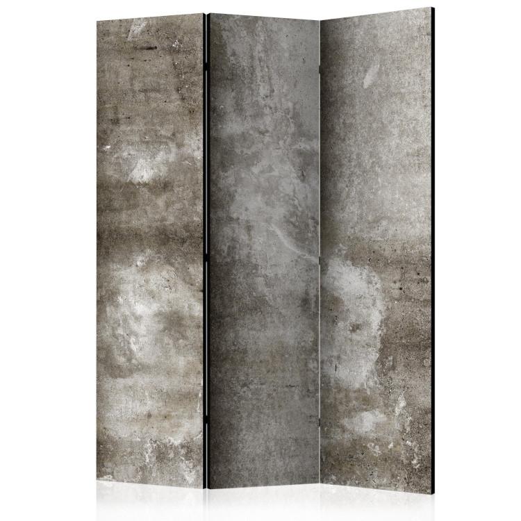 Room Divider Cold Concrete (3-piece) - industrial composition in grays