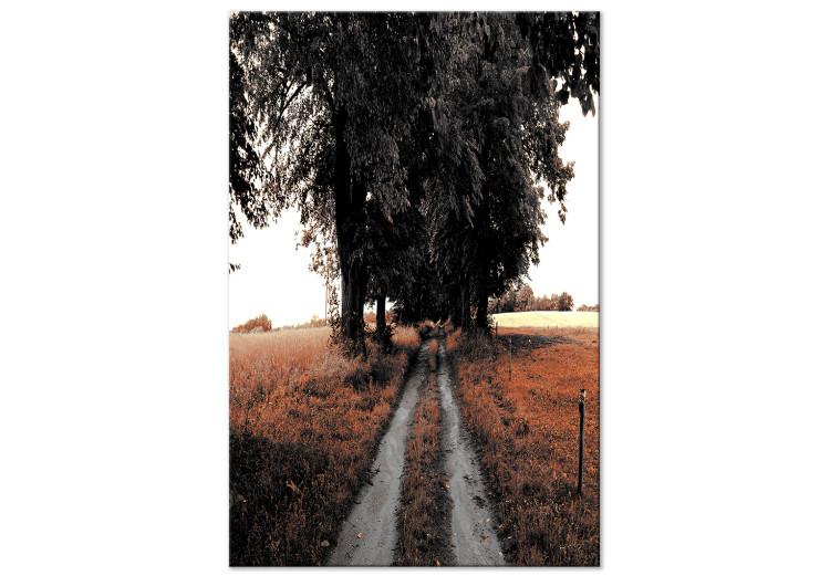 Canvas Print Countryside path - grain fields, trees and poplars summer landscape