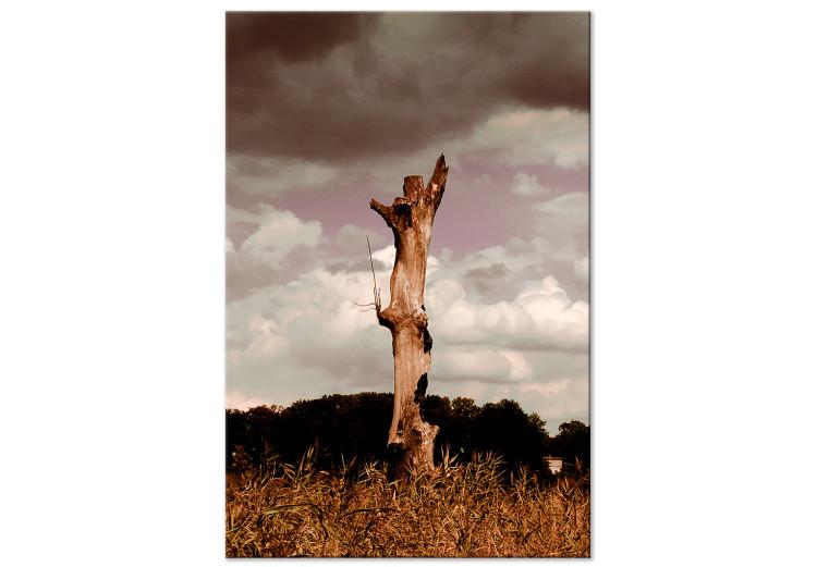 Canvas Print Trunk of a withered tree - photo of nature against the clouds and sky