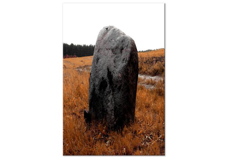 Canvas Print Boulder in the meadow - autumn landscape showing a stone in the field