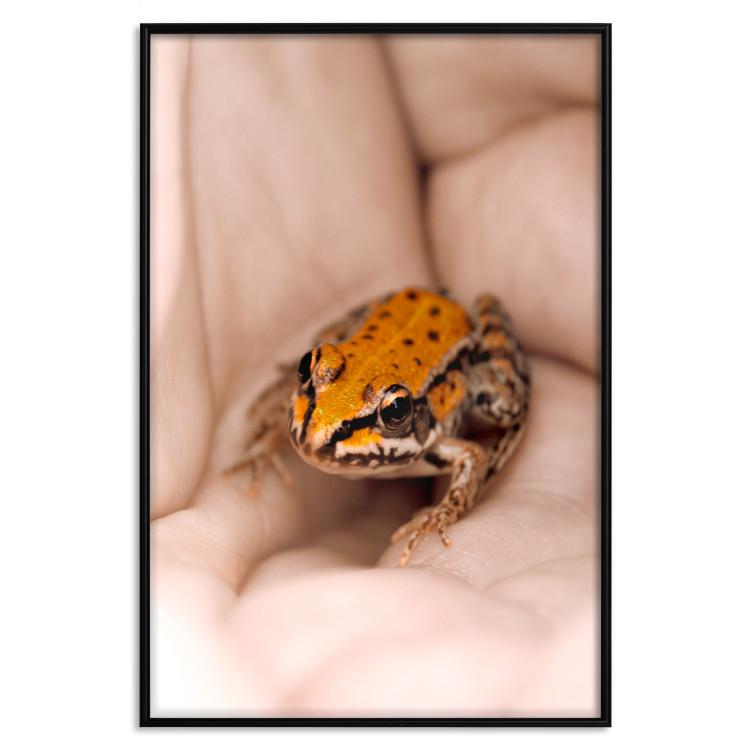 Poster The Good Life - tiny yellow frog on hand of a person
