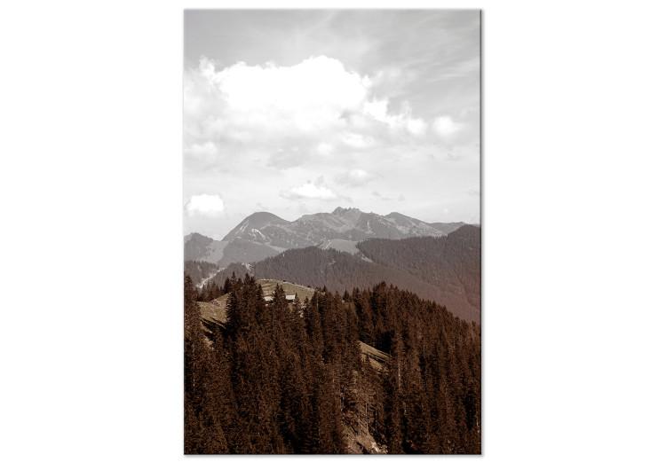 Canvas Print Aerial mountains - mountain landscape with forest and white clouds
