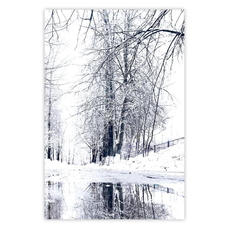 Poster December - winter tree landscape on the road in black and white