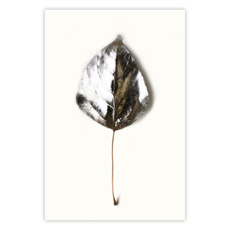 Poster Winter Jewel - leaf from a plant covered in silver lying on white background