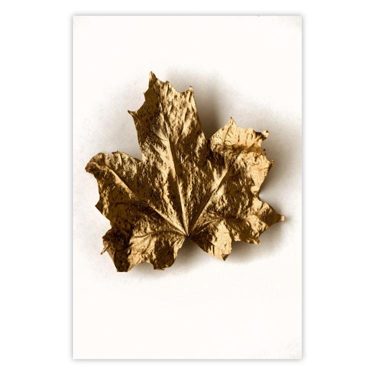 Poster Golden Maple - leaf covered with a thin layer of gold lying on white background