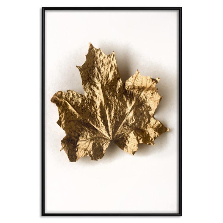 Poster Golden Maple - leaf covered with a thin layer of gold lying on white background