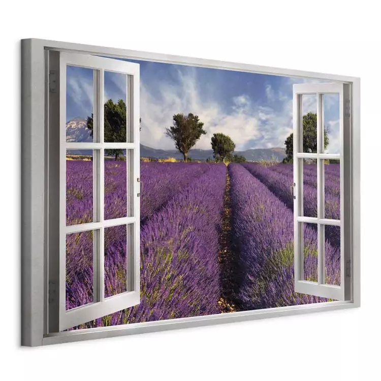 Lavender Field (1 Part) Wide