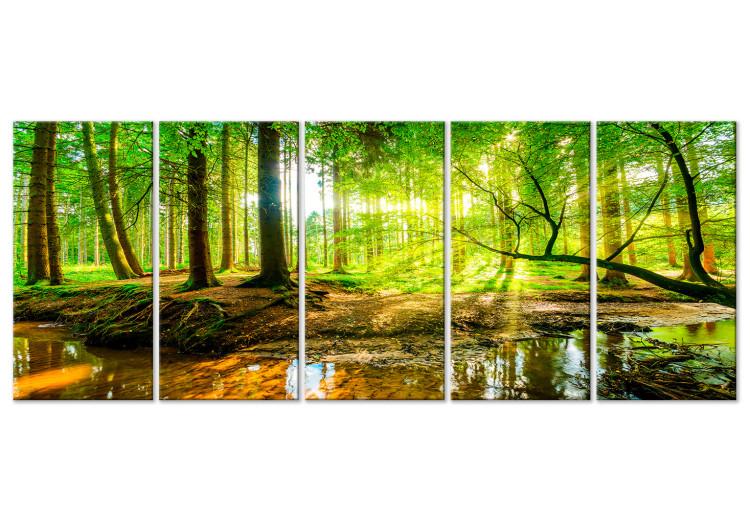 Canvas Print Forest Stream (5 Parts) Narrow