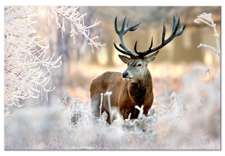 Large canvas print Deer in the Cold [Large Format]