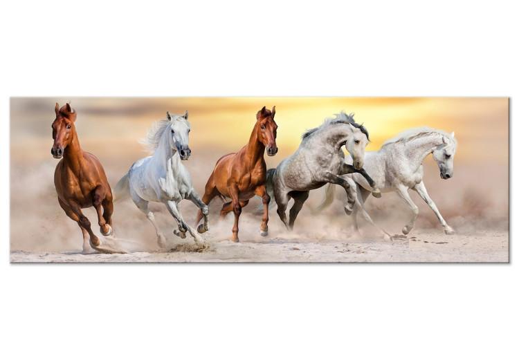 Canvas Print Flock of Horses (1 Part) Narrow