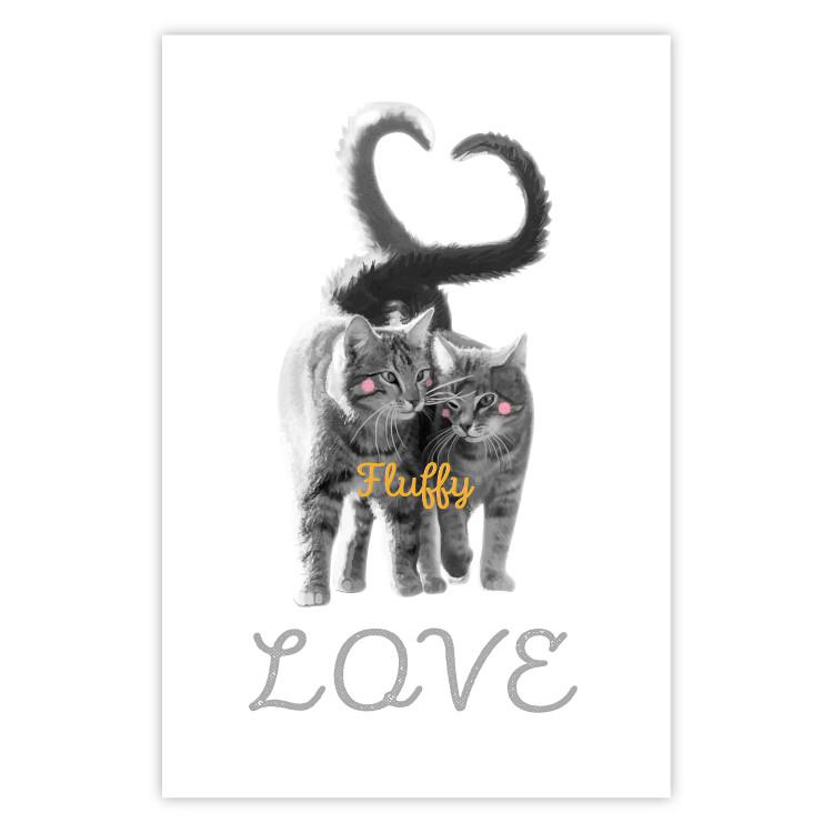 Poster Fluffy Love - gray cats and English text on a white background
