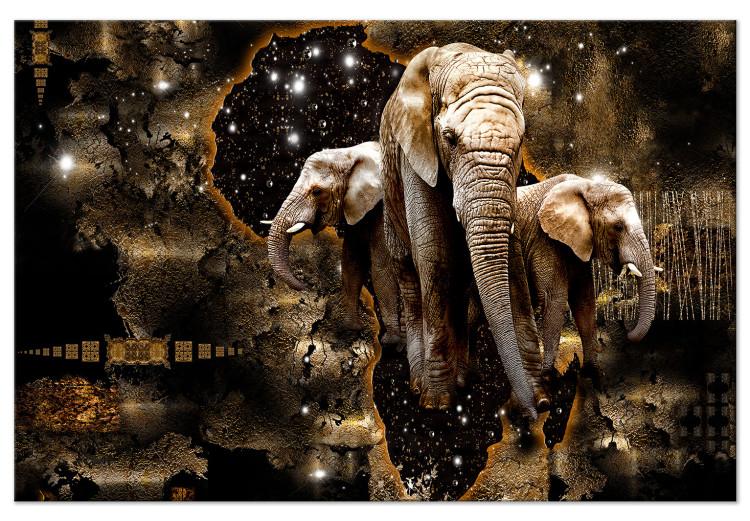 Large canvas print Brown Elephants [Large Format]
