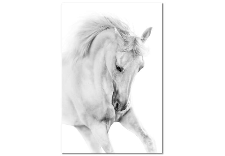 Canvas Print White Horse (1 Part) Vertical