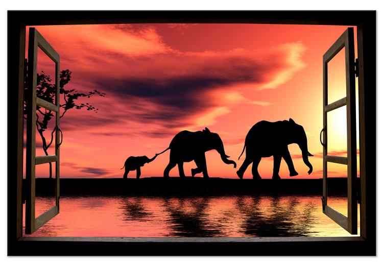 Large canvas print Evening Elephant Walk [Large Format]