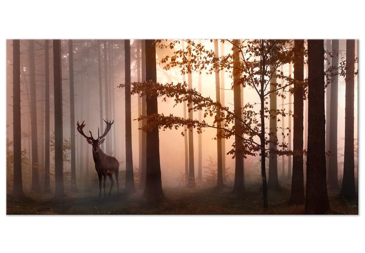 Large canvas print Morning (Brown) II [Large Format]