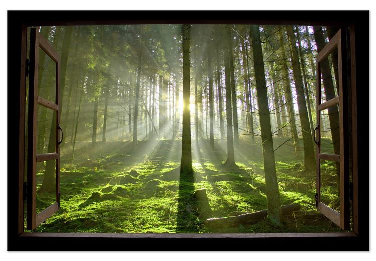 Large canvas print Dawn in the Forest [Large Format]
