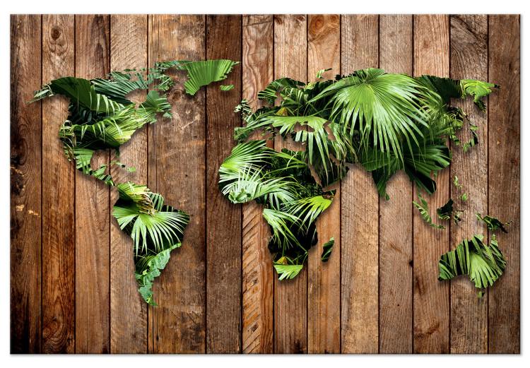 Large canvas print Jungle of the World [Large Format]