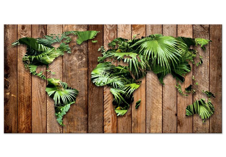 Large canvas print Jungle of the World II [Large Format]