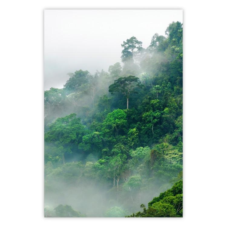 Poster Juicy Forest - tropical green trees in a mountain range during mist