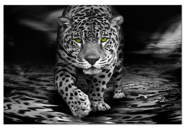 Canvas Print Green-Eyed Predator (1 Part) Wide Black and White