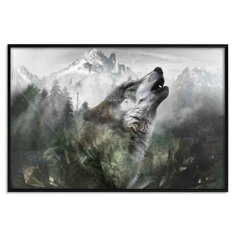 Poster Howling Wolf - wild animal against a forest landscape and high mountains
