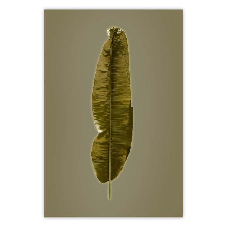 Poster Exotic Leaf - green leaf from a banana tree on a solid background