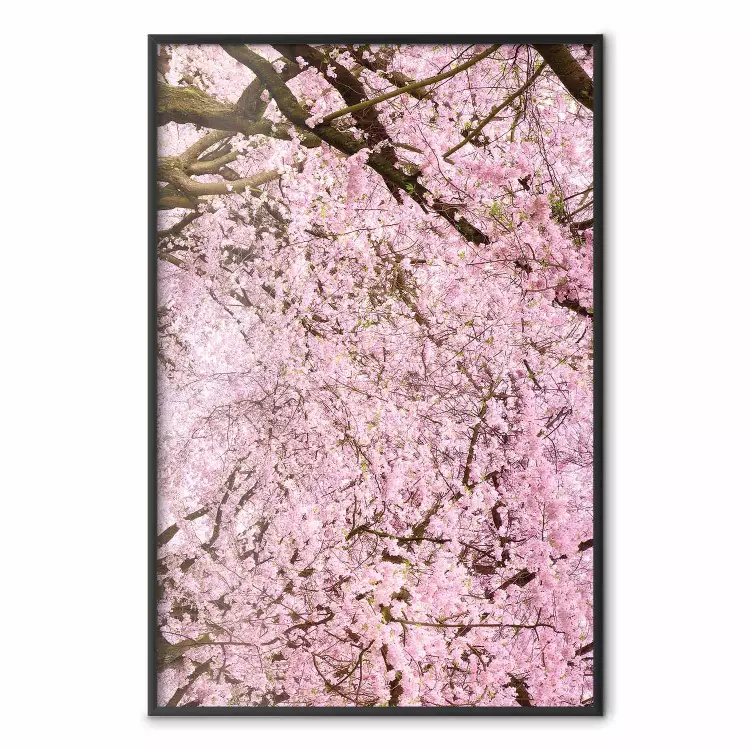 Cherry Tree - spring composition of trees with light pink leaves