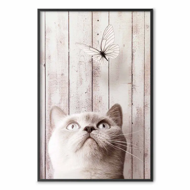 Feline Nature - gray cat and flying butterfly on wooden planks