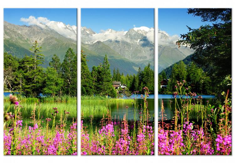 Canvas Print Spring in the Alps (3 Parts)