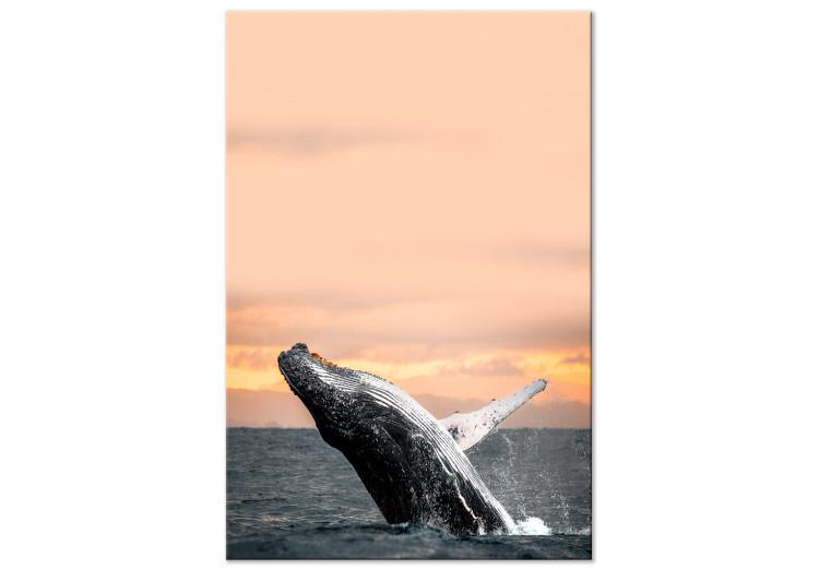 Canvas Print Emerging humpback whale - a whale against the setting sun
