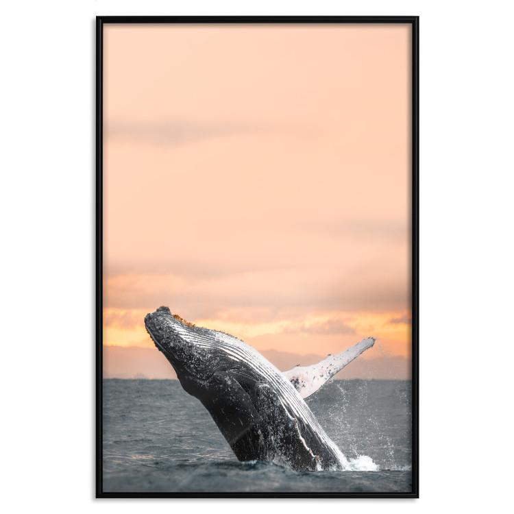 Poster Dance at Dawn - seascape of dolphins in the sea against a rising sun