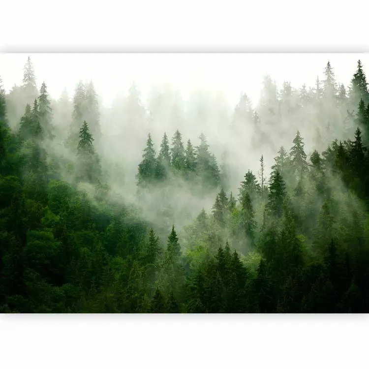 Mountain Forest (Green)