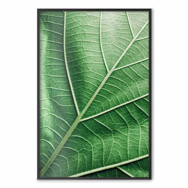 Malachite Leaf - green leaf with precise texture in close-up
