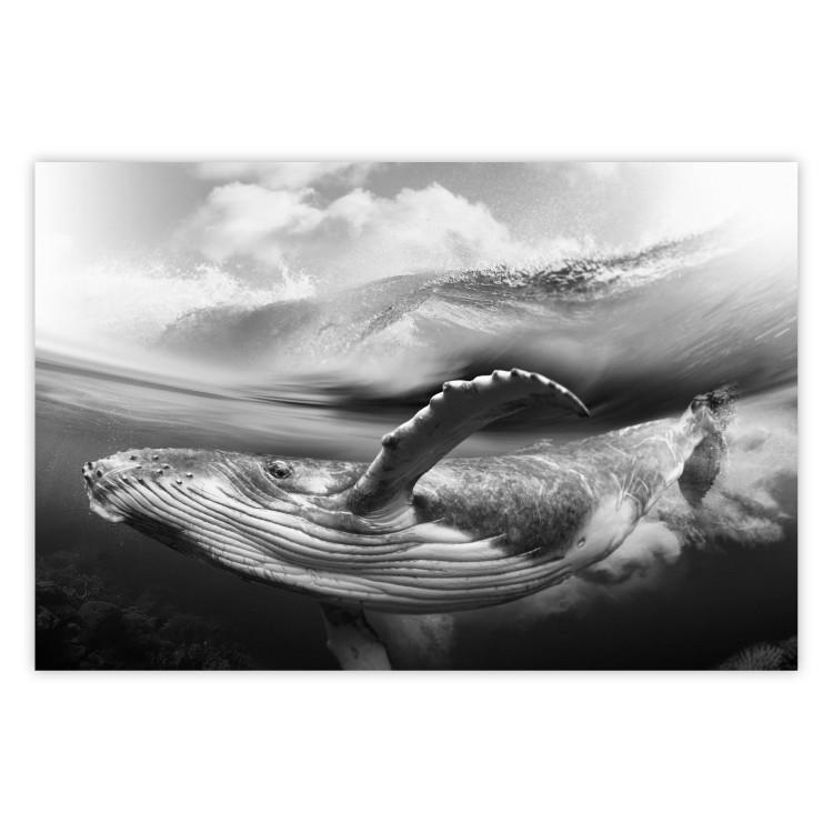 Poster Black and White Whale - maritime landscape with a whale against waves