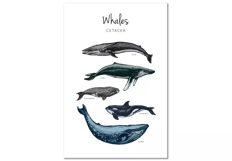 Canvas Print Whales (1 Part) Vertical