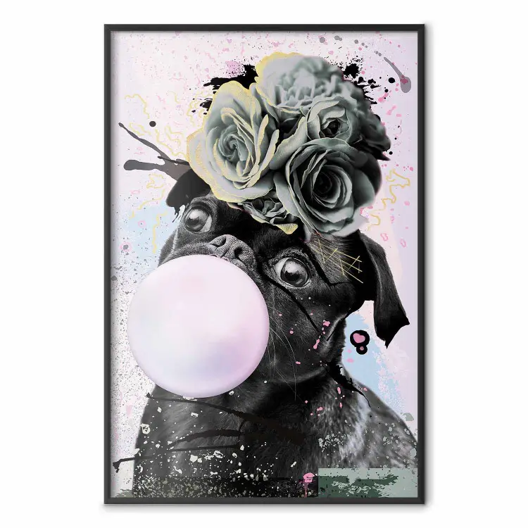 Pug with Chewing Gum - black and amusing dog with flowers on a pastel background
