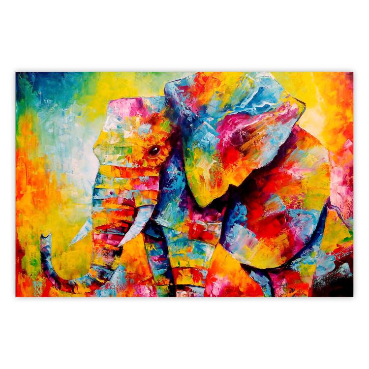 Poster Colorful Animals: Elephant - multicolored animal in watercolor motif